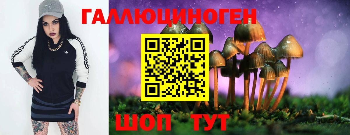 Коммунар  Галлюциногенные грибы прущие грибы  Вход с VPN 